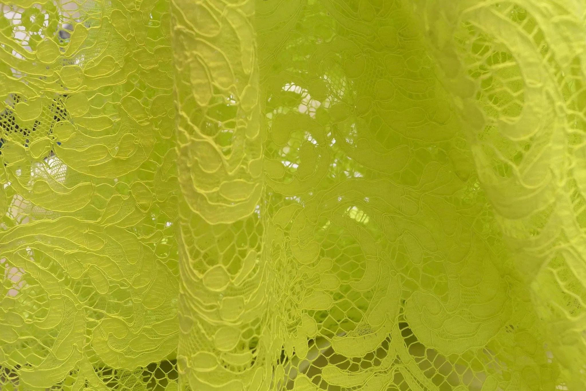 Citronnade Corded Lace