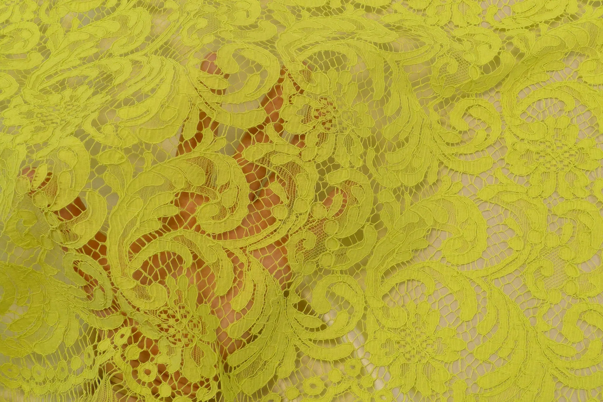 Citronnade Corded Lace